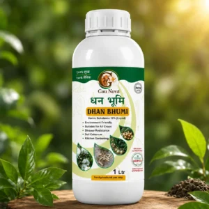 dhan bhumi