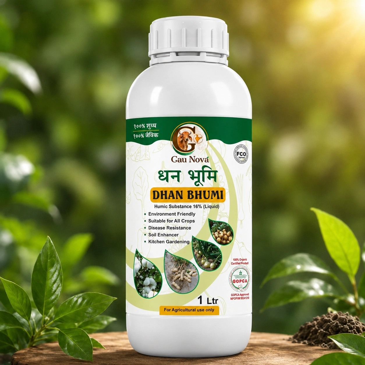 dhan bhumi