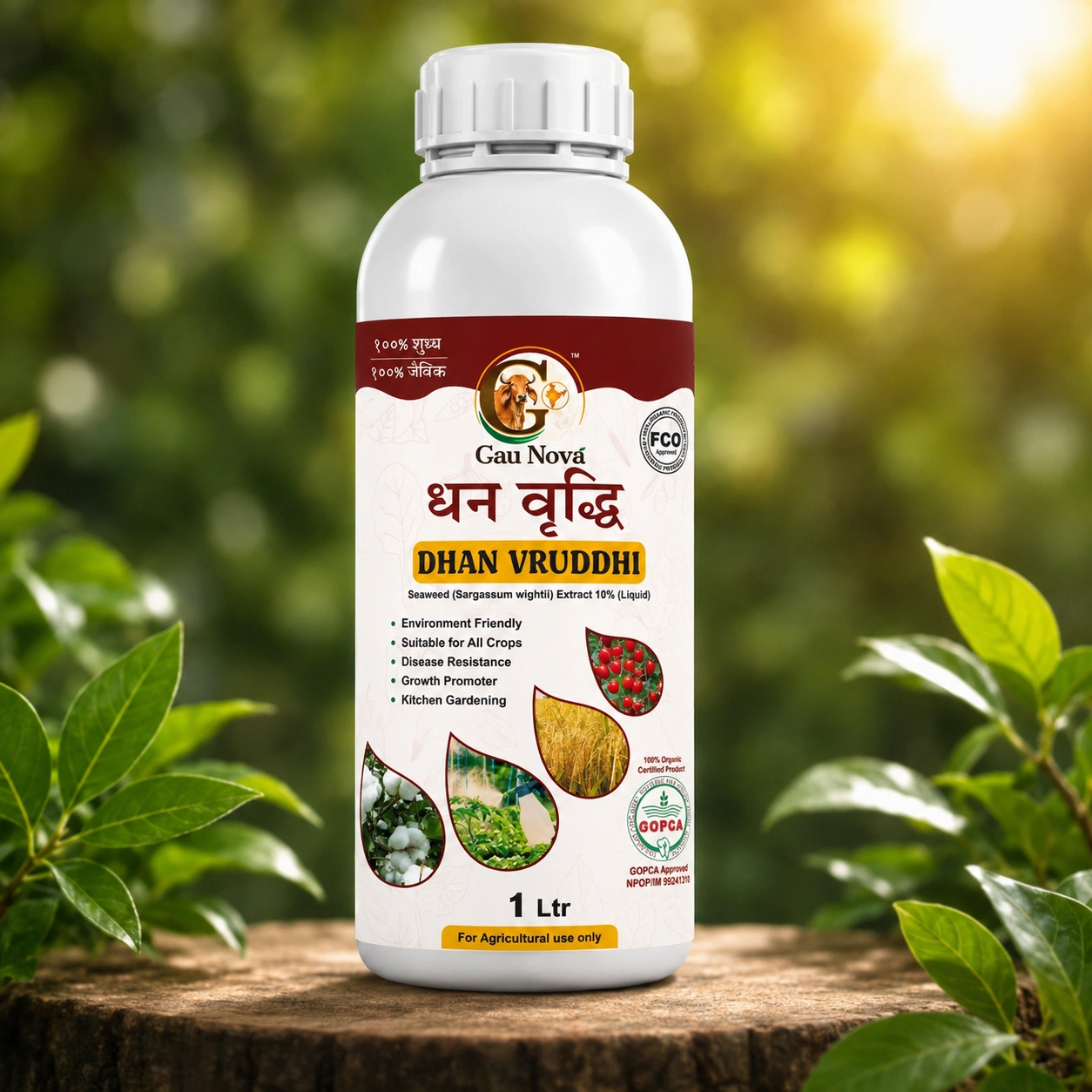dhan vruddhi